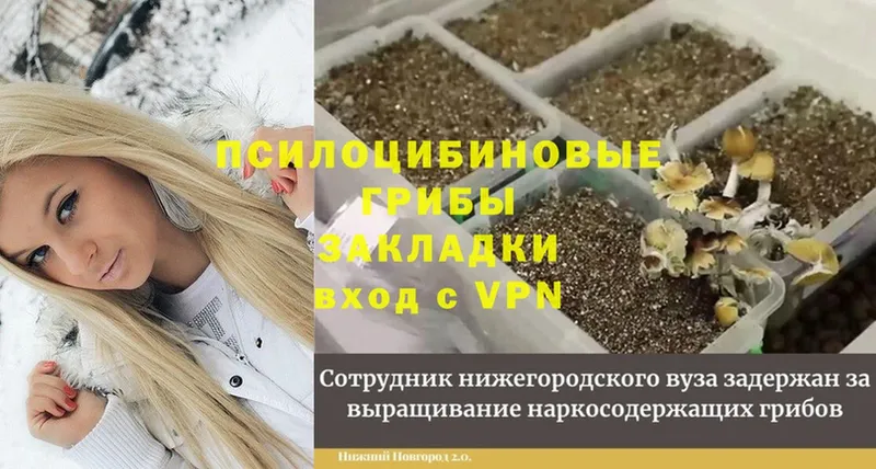 Галлюциногенные грибы Magic Shrooms  blacksprut   Серафимович 